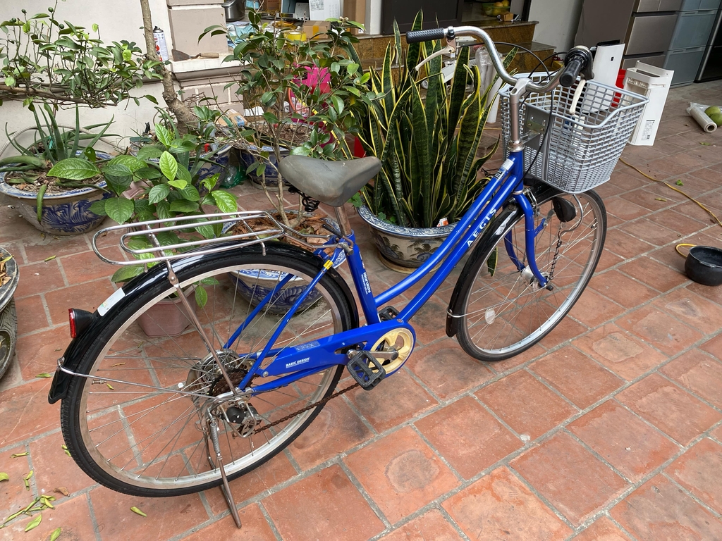 Xe đạp Mini Nhật bãi