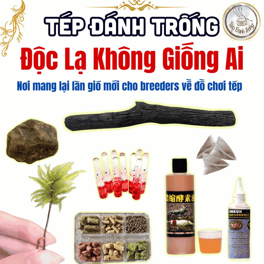 Khoáng tép đậm đặc Jinkun – Tăng gH tự nhiên, an toàn - Làm trắng, dày sứ tép, cải thiện màu sắc