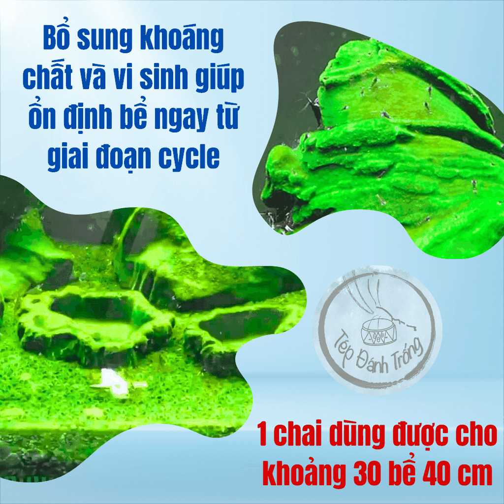 Dung dịch mầm kích tảo - phát triển tảo trong bể tép - Bổ sung vi sinh, khoáng giúp ổn định, giảm th.gian cycle nước