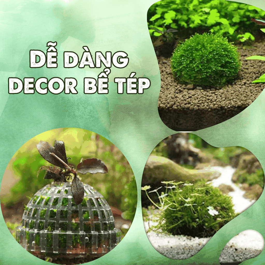 Bóng treo trồng rêu - Giá thể trồng rêu giúp trang trí bể tép