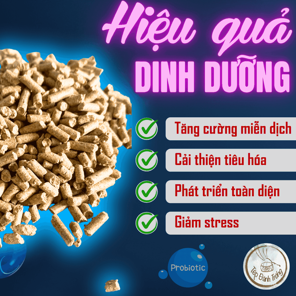 Thức Ăn Tép Giàu Probiotic - Tăng cường miễn dịch