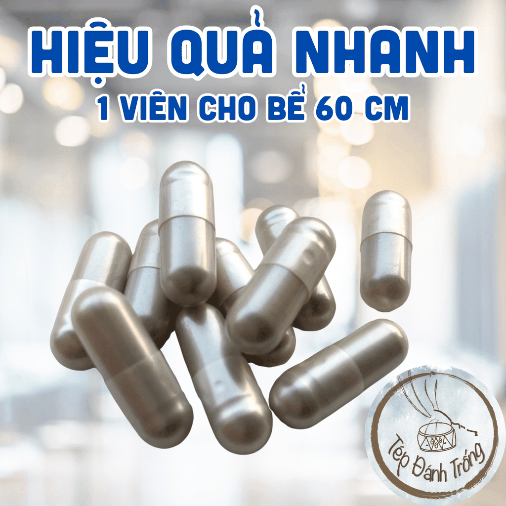 Viên nang vi sinh nguyên chất cho tép - Chính hãng Nhật Bản - Khử độc nước, ngừa bệnh, tạo hệ vi sinh khỏe