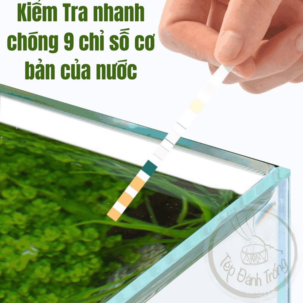 Que Test Nước 9 in 1 - YEE - Kiểm tra thông số nước bể tép, cá cảnh nhanh chóng, tiện lợi.