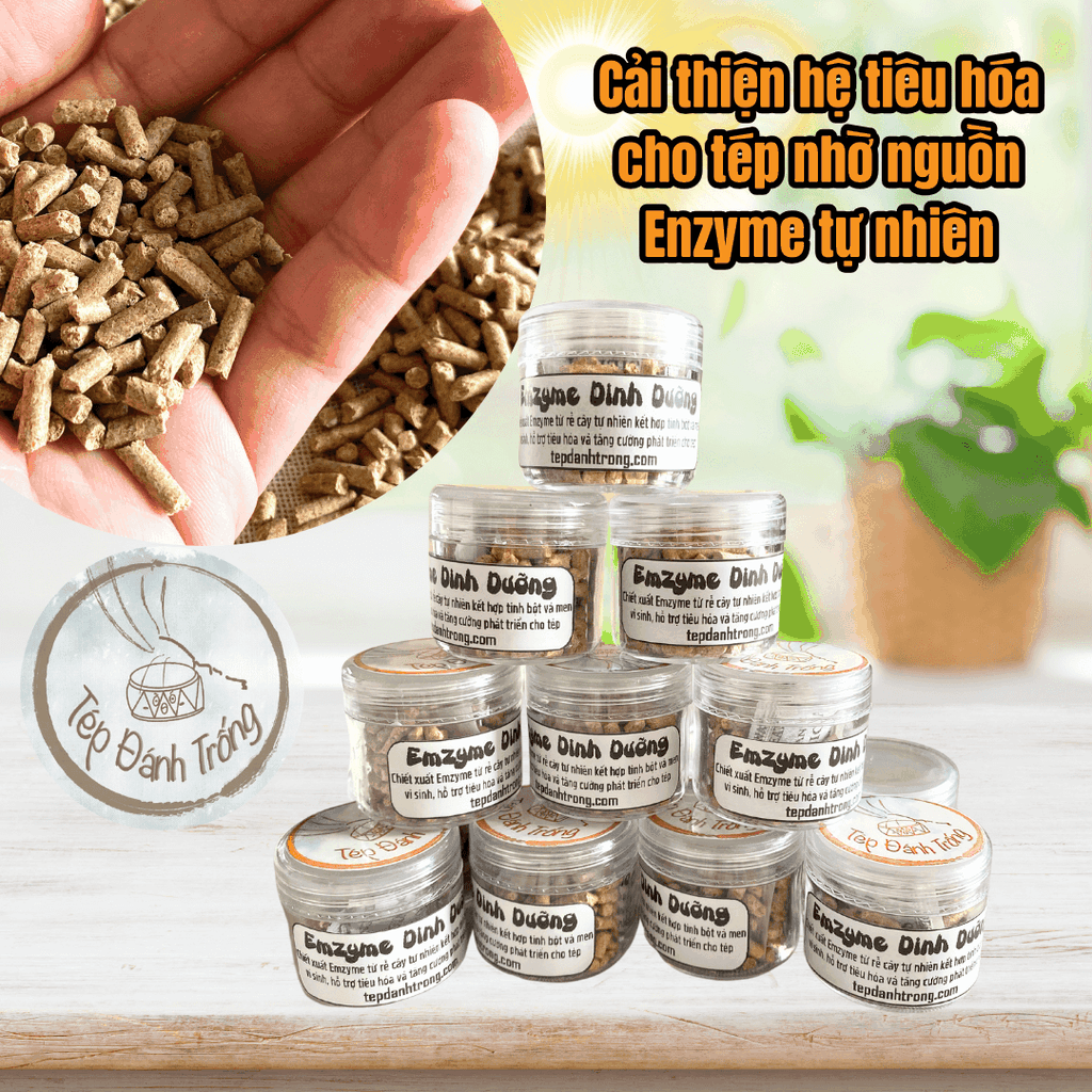 Enzyme Dinh Dưỡng - Thức ăn tép cảnh chuyên dụng - Hỗ trợ phát triển toàn diện cho tép nhờ chiết xuất enzyme rễ cây