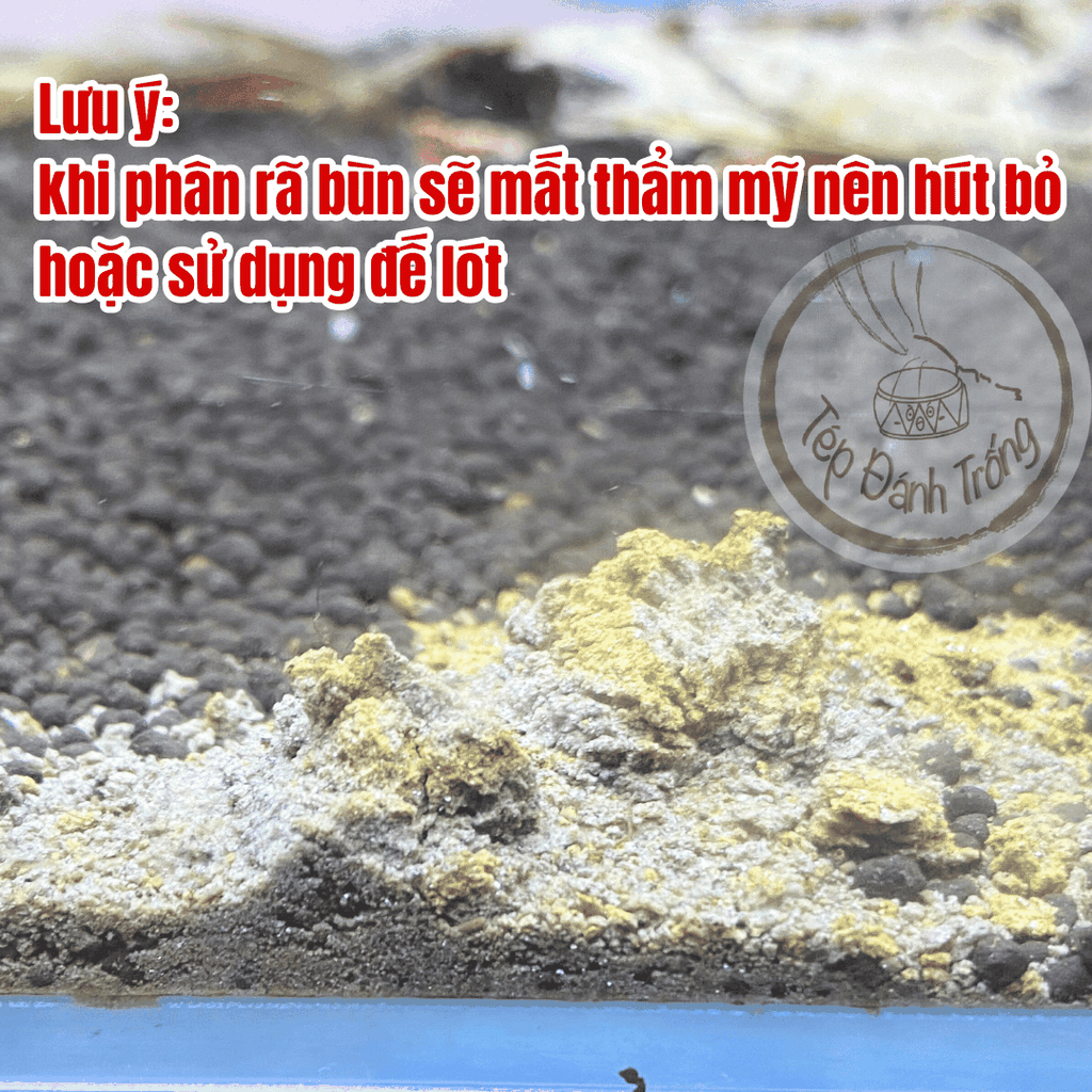 Bùn Biển Taikoo - Chuyên trị tép chết lai rai, tép lừ đừ, khử độc nước - Thành phần tự nhiên an toàn