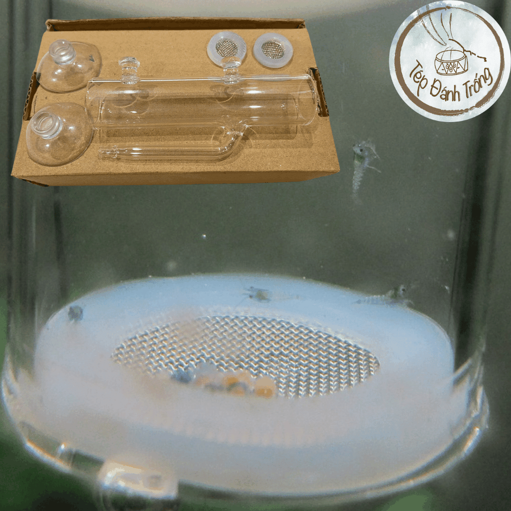 Lồng Ấp Trứng Tép - Hỗ Trợ Ấp Trứng Tép Thủ Công Khi Tép Lột Vỏ Dính Trứng