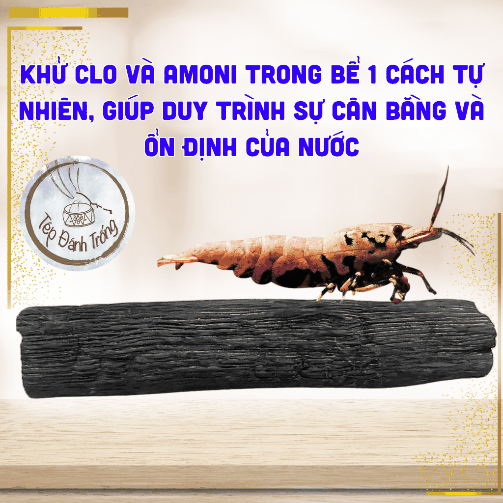 Than Binchotan (Than Gỗ Sồi Ubame - Nhật Bản) - Khử Clo, Amoni, cung cấp khoáng tự nhiên cho bể tép