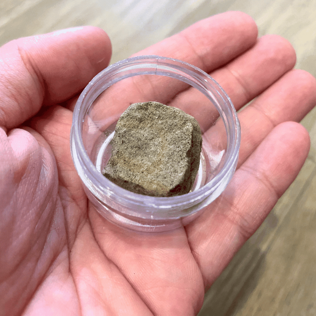 Bùn Biển Taikoo - Chuyên trị tép chết lai rai, tép lừ đừ, khử độc nước - Thành phần tự nhiên an toàn