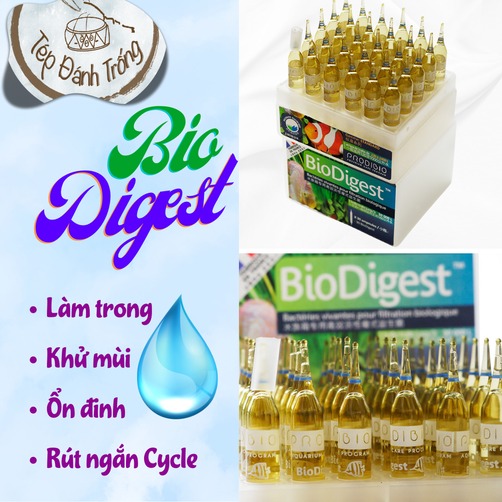 Vi sinh tươi BioDigest - Ổn Định Nước Nhanh Chóng