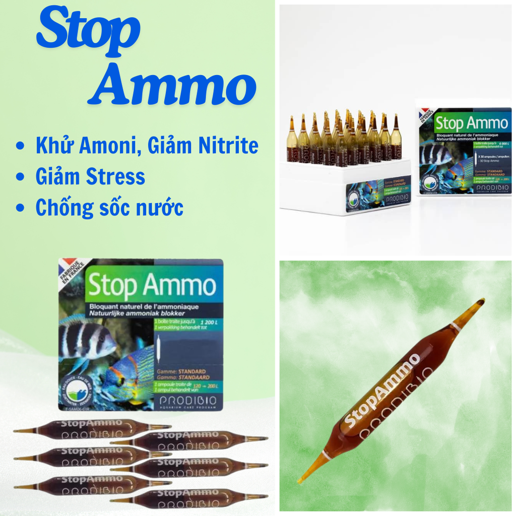 Prodibio Stop Ammo - Hoạt tính khử Ammoni