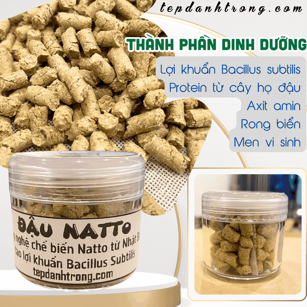 Đậu Natto- Bí Quyết Cho Tép Cảnh Khỏe Mạnh