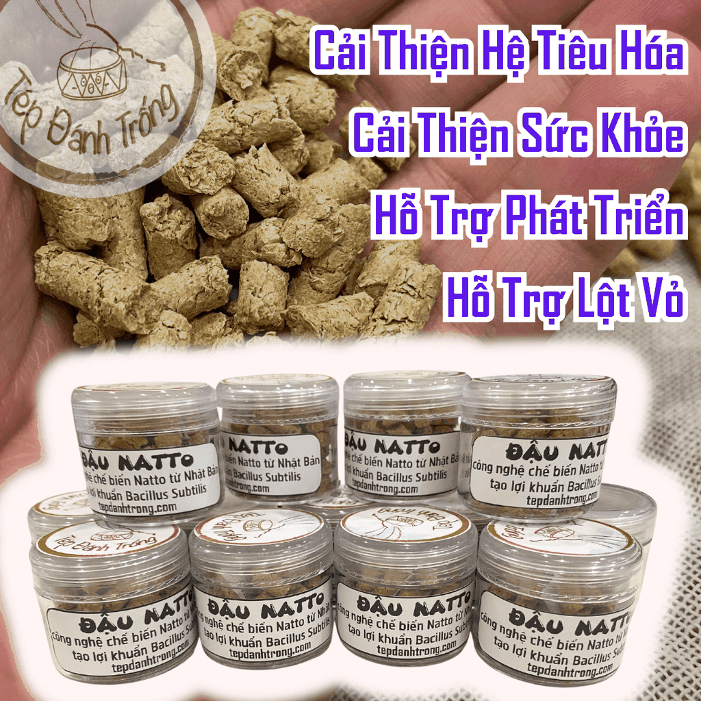 Đậu Natto- Bí Quyết Cho Tép Cảnh Khỏe Mạnh