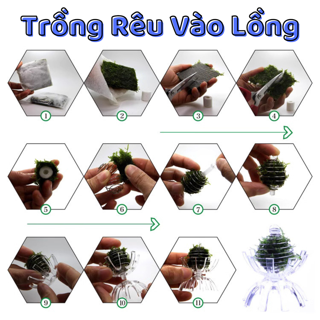 Lồng Cho Tép Ăn Cao Cấp - Giá Thể Trồng Rêu