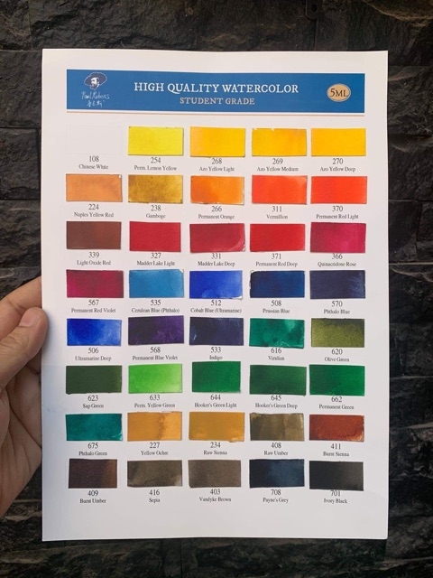 [ 17k/tube P2 ] Màu nước Paul Rubens 5ml Pigment Watercolor hạng Student