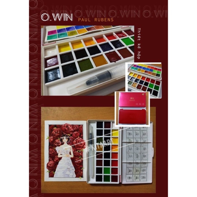 [Kèm cọ nước] Màu nước nén Owin 24 màu hãng Paul Rubens