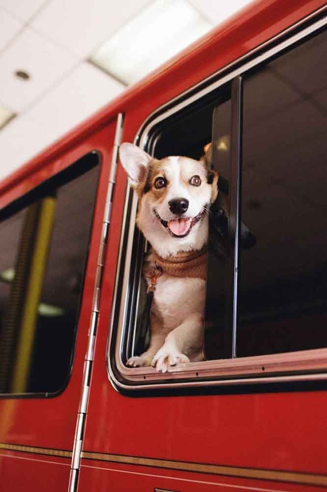 Kodacolor 200 - 135mm - ISO 200 - roll