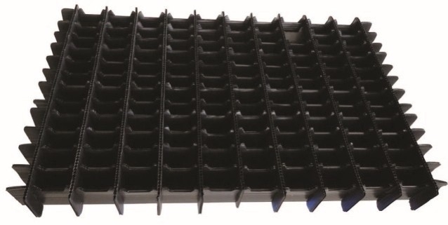 Xương nhựa Danpla
