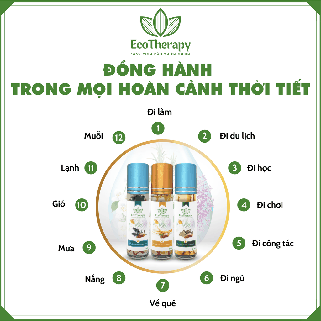 [COMBO] 3 Tinh dầu bi lăn Thảo mộc cao cấp EcoTherapy -  Liệu pháp thiên nhiên, giảm căng thẳng mệt mỏi