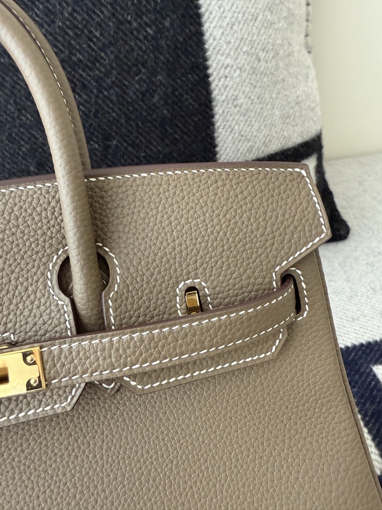 Birkin 25cm Togo Leather Handbag in Etoupe Grey with Gold Hardware