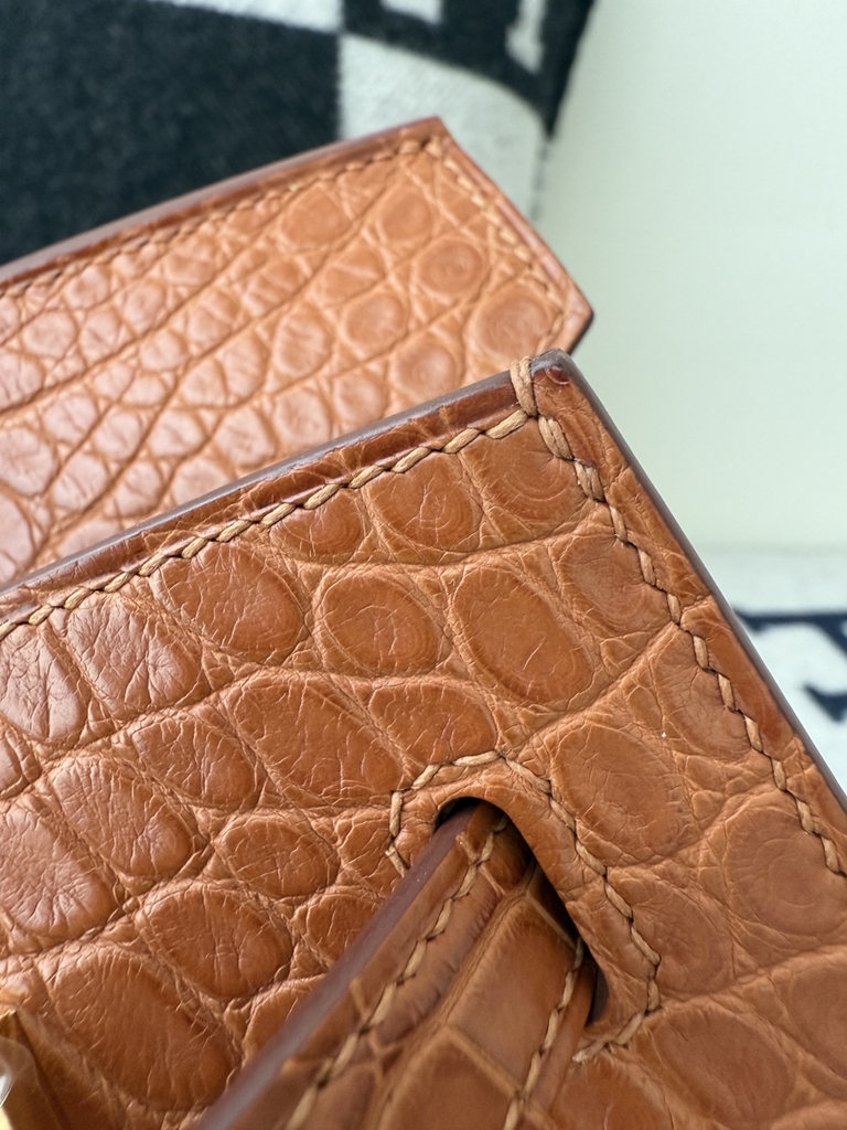 Birkin 25cm Matte Crocodile Leather Handbag