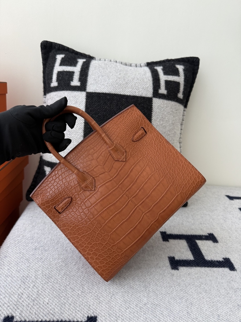 Birkin 25cm Matte Crocodile Leather Handbag