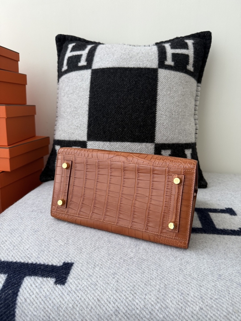 Birkin 25cm Matte Crocodile Leather Handbag