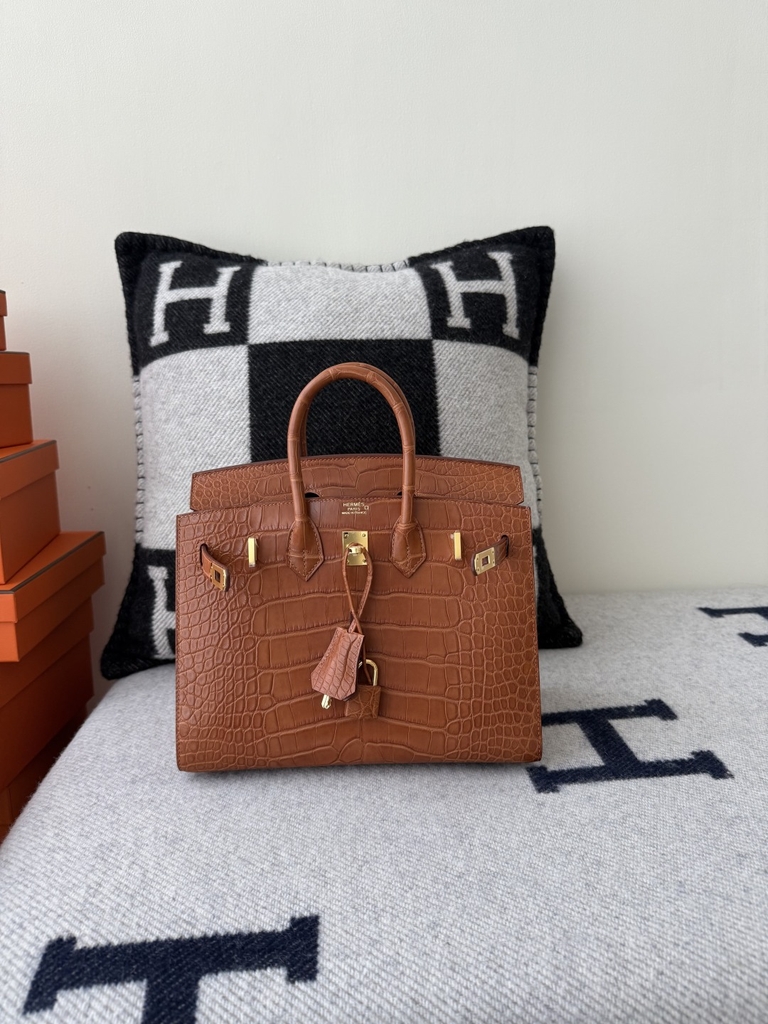 Birkin 25cm Matte Crocodile Leather Handbag