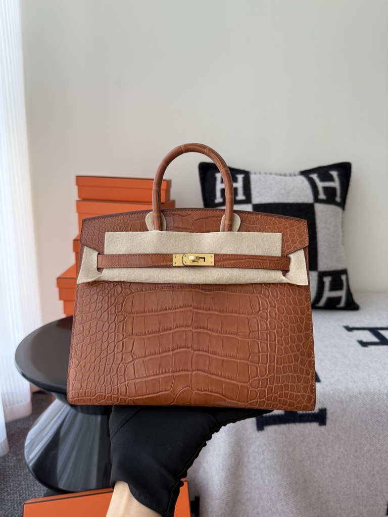 Birkin 25cm Matte Crocodile Leather Handbag