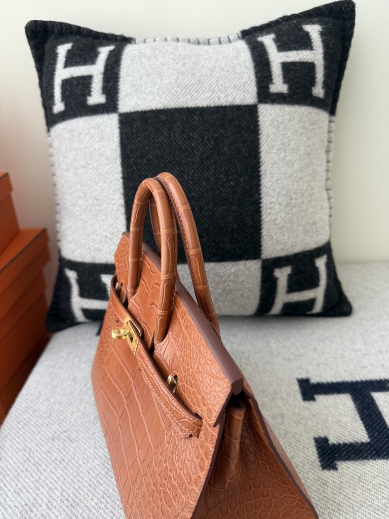 Birkin 25cm Matte Crocodile Leather Handbag