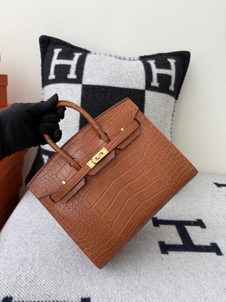 Birkin 25cm Matte Crocodile Leather Handbag
