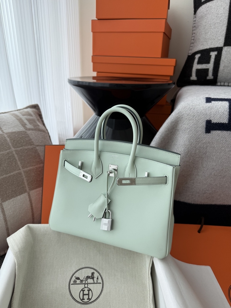 Birkin 25cm Platinum Swift Leather Green Mint Handbag