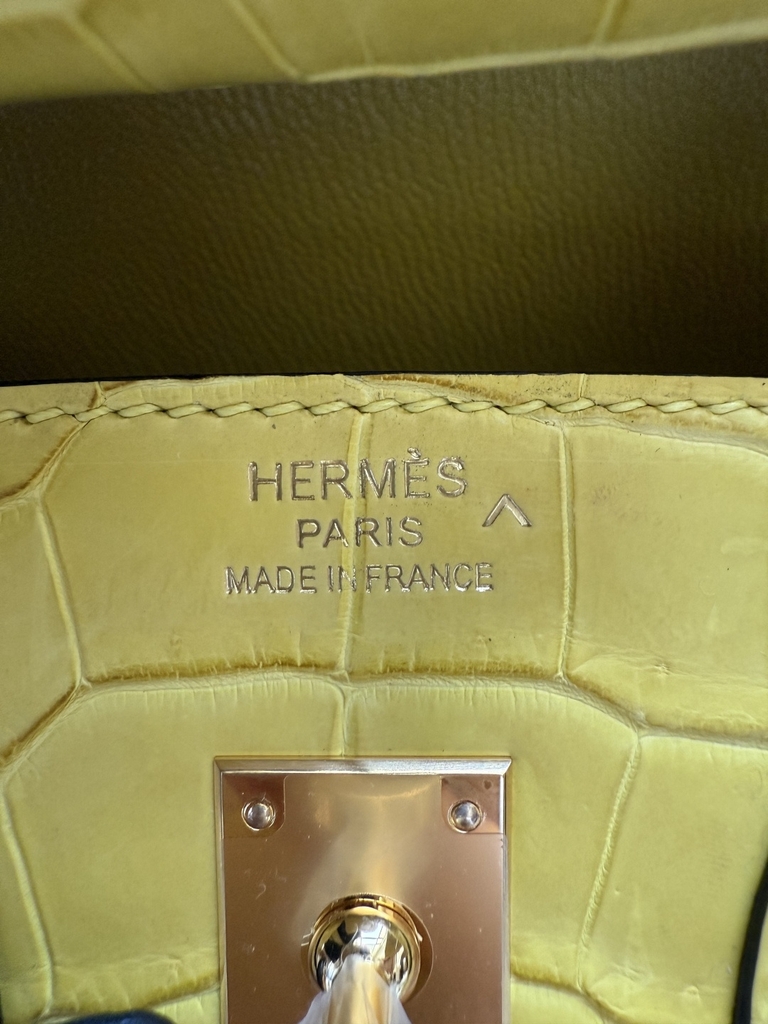 Birkin 25 - Mimosa - Matted Prosus Crocodiles - GHW