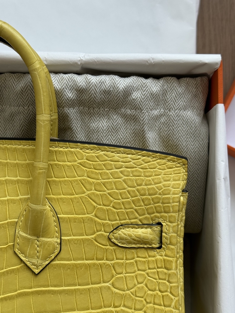 Birkin 25 - Mimosa - Matted Prosus Crocodiles - GHW