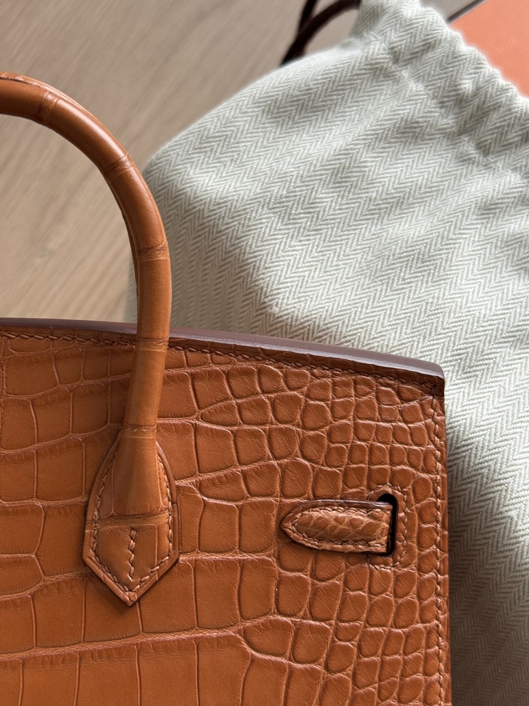Birkin 20 - Gold - Matted Alligator - GHW