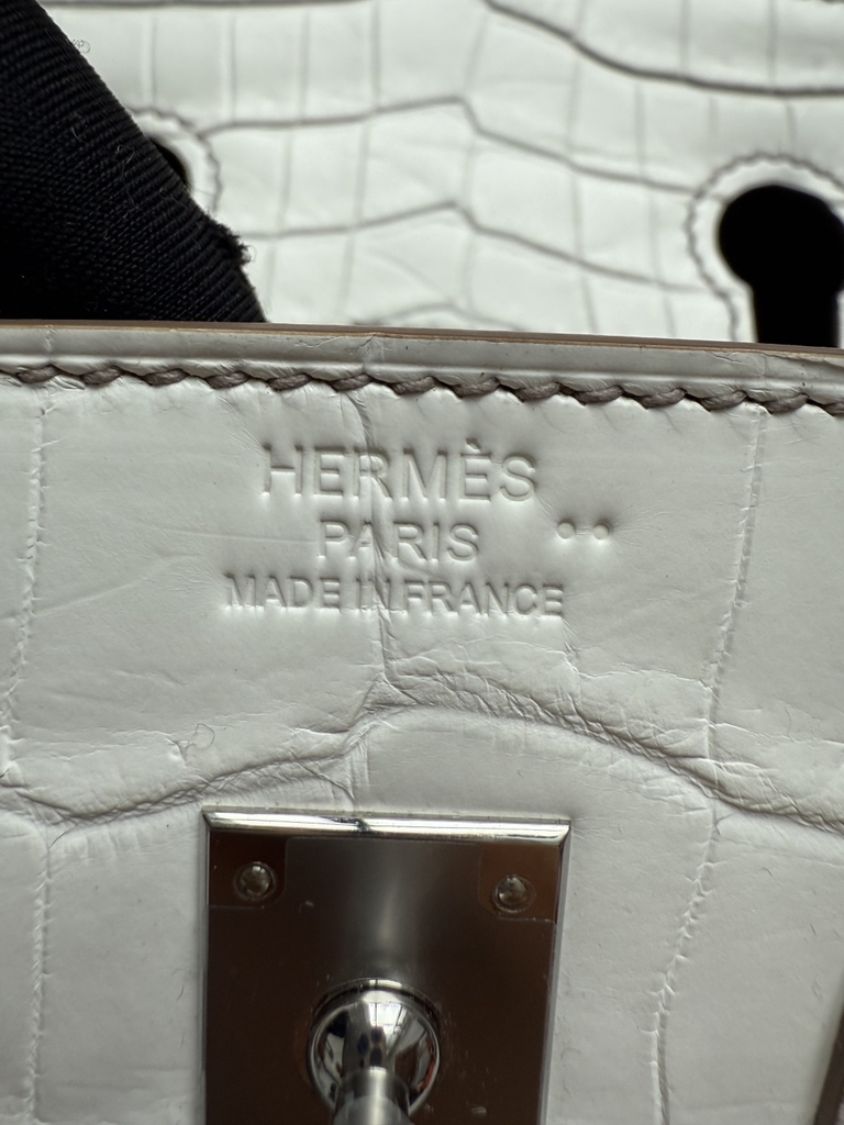 Birkin 25 - Himalaya - Nioticus Crocodile - PHW