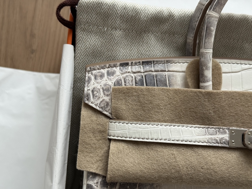 Birkin 25 - Himalaya - Nioticus Crocodile - PHW