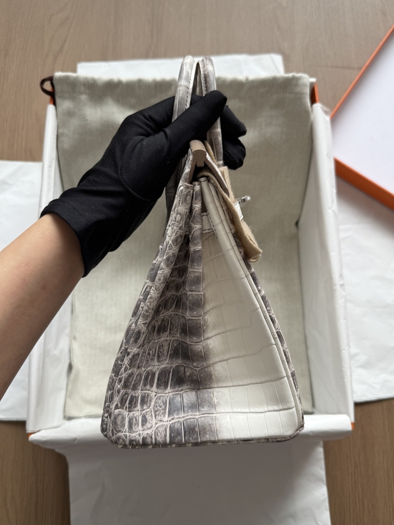 Birkin 25 - Himalaya - Nioticus Crocodile - PHW