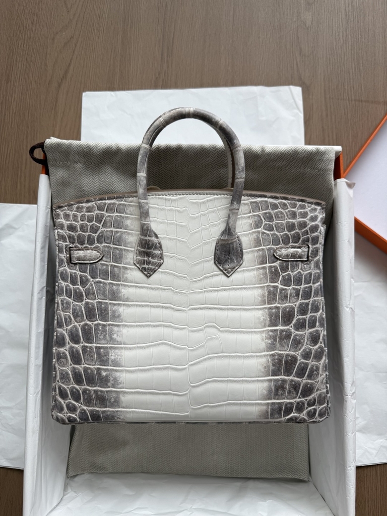 Birkin 25 - Himalaya - Nioticus Crocodile - PHW