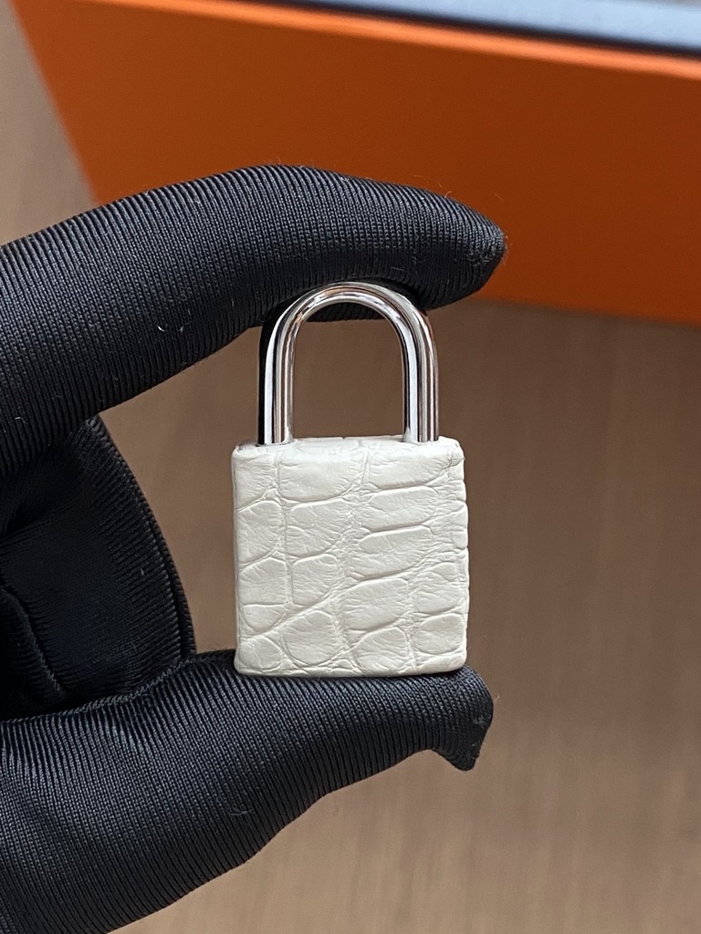 Birkin 20 Faubourg -  White/ Beton Matte Alligator
