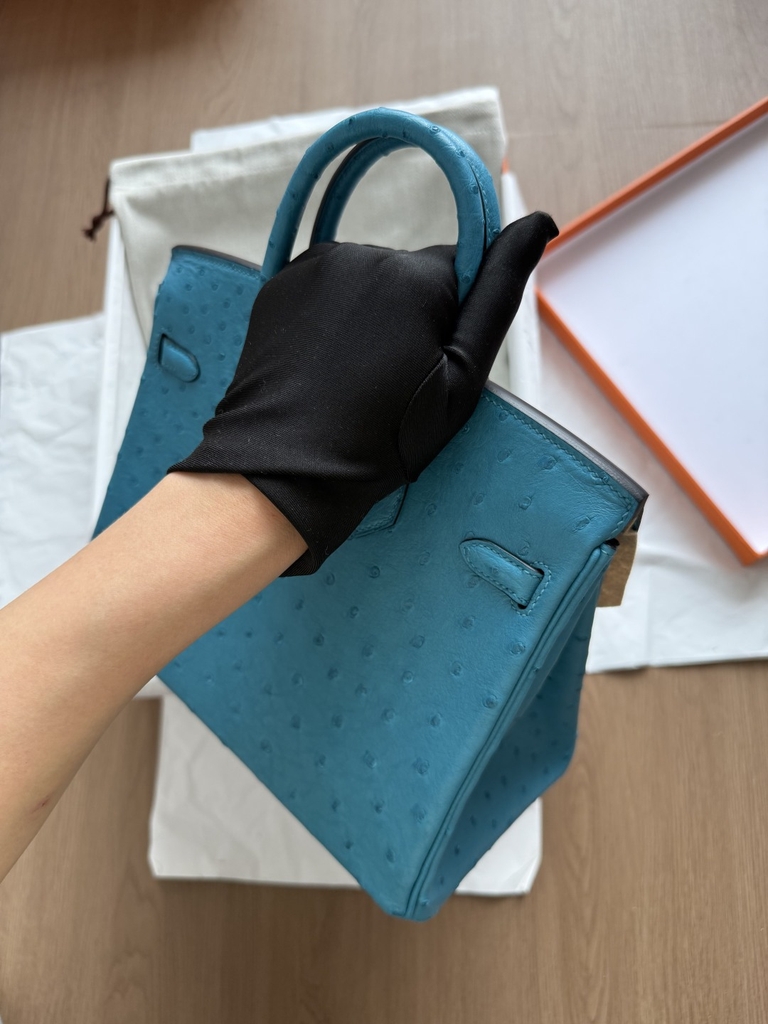 Birkin 25 - Blue - Ostrich - PHW