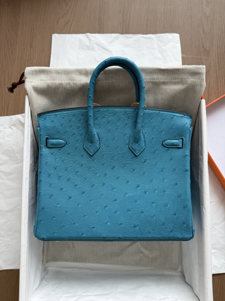 Birkin 25 - Blue - Ostrich - PHW