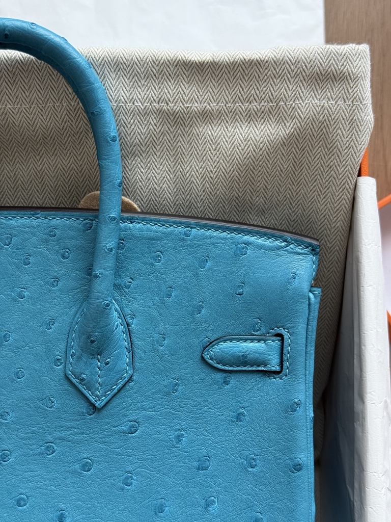 Birkin 25 - Blue - Ostrich - PHW