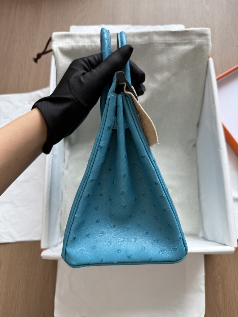 Birkin 25 - Blue - Ostrich - PHW