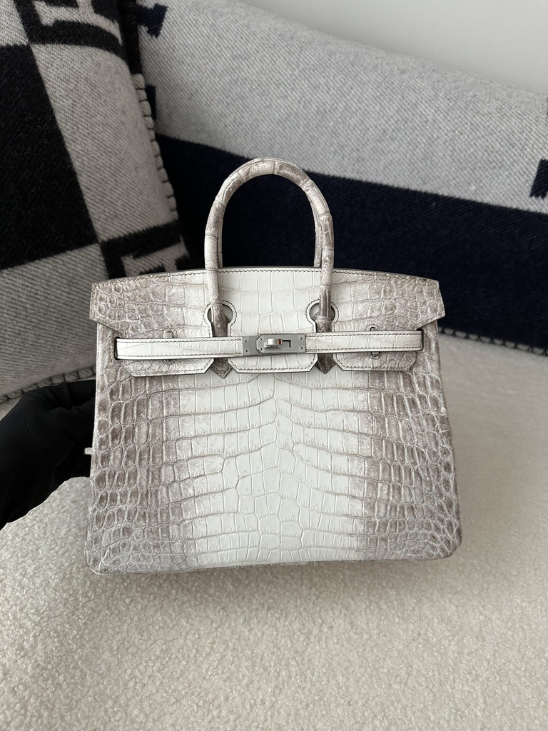 Birkin 25cm, Matte Himalaya Crocodile, Imported HCP Leather, 01 Himalaya with Silver Hardware, 