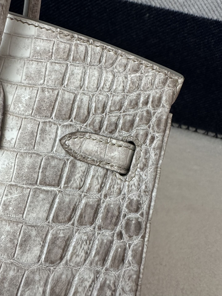 Birkin 25cm, Matte Himalaya Crocodile, Imported HCP Leather, 01 Himalaya with Silver Hardware, 