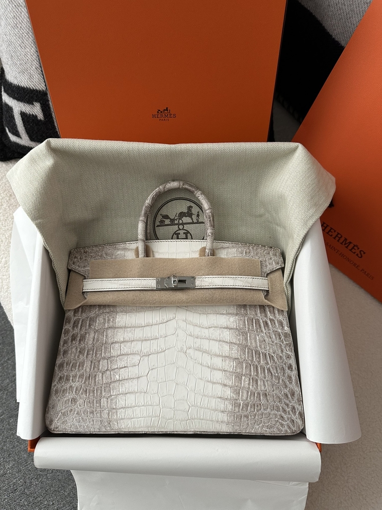 Birkin 25cm, Matte Himalaya Crocodile, Imported HCP Leather, 01 Himalaya with Silver Hardware, 