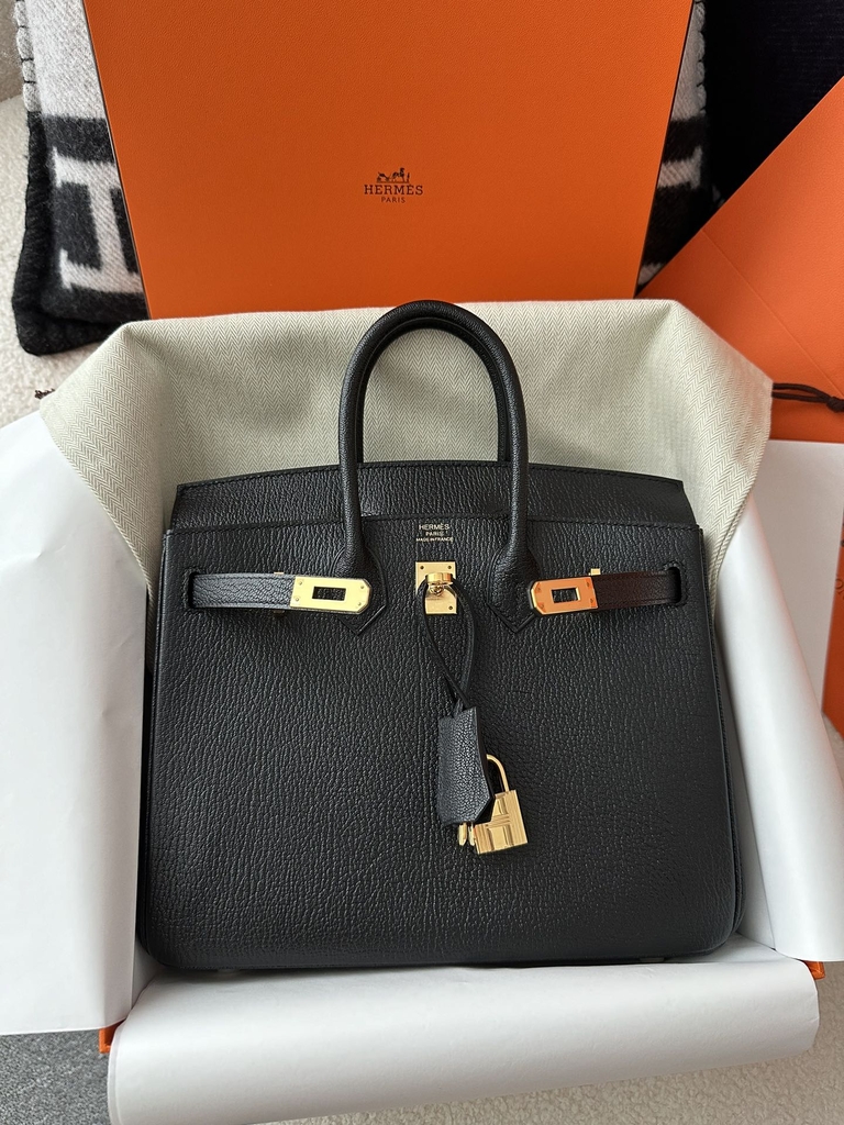 Birkin 25cm in Imported Chevre Goatskin, CC89 Noir Black with Gold Hardware