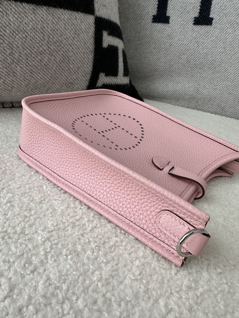 Mini Evelyne Tc Clemence  3Q Rose Sakura silver hardware