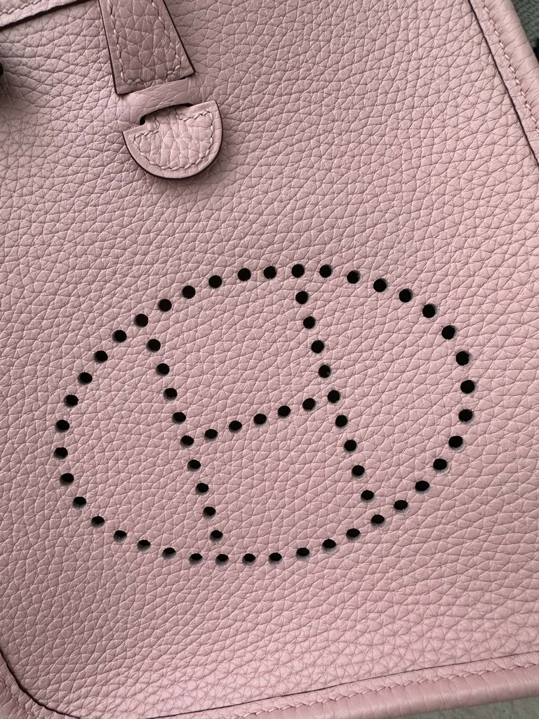Mini Evelyne Tc Clemence  3Q Rose Sakura silver hardware