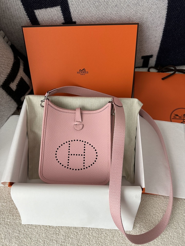 Mini Evelyne Tc Clemence  3Q Rose Sakura silver hardware